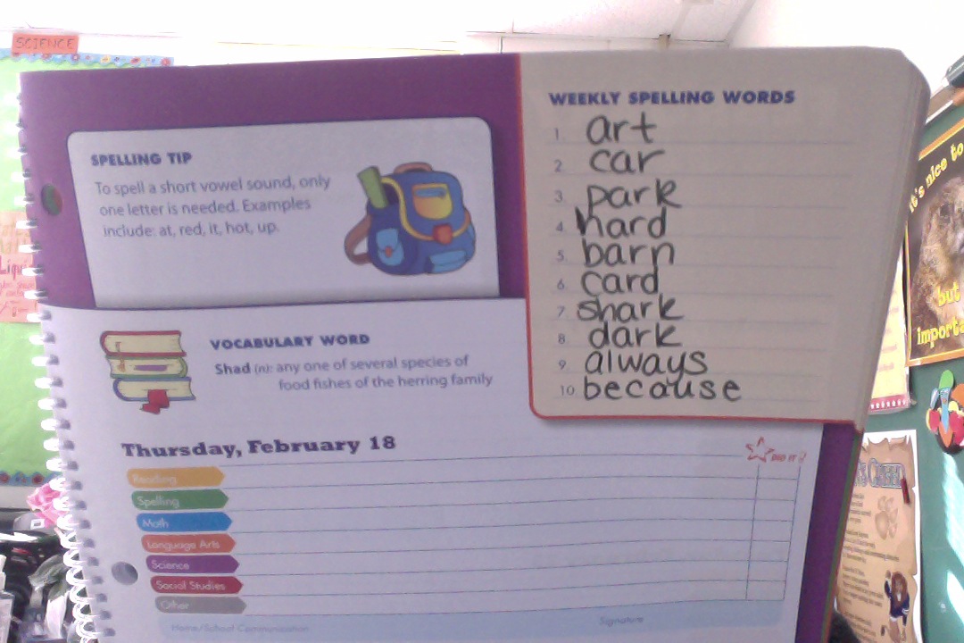 homework assignments for second graders